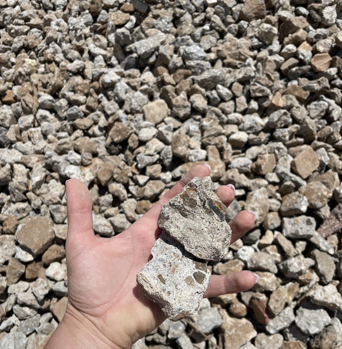 Hand holding oversize crushed concrete pieces.